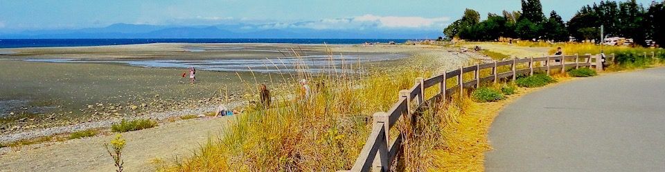 our playful oceanside beaches10