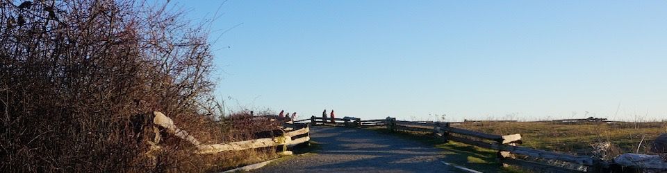 walkers on the horizon at rathtrevor